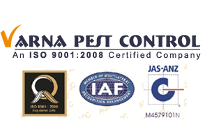 Buy Ultrasonic Electronic Rat / Rodent Repellent System & Transducers -  Varna Enterprises, Bangalore