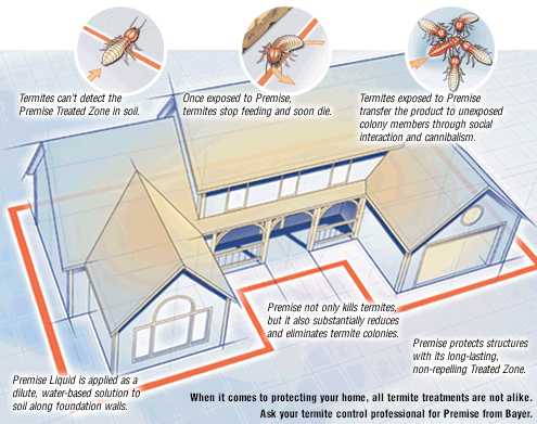 Anti Termite Treatment, Pre & Post Construction Termite Control ...